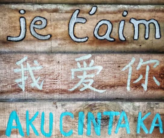 The Future of Language: Will We All Speak in Emojis and AI Slang?